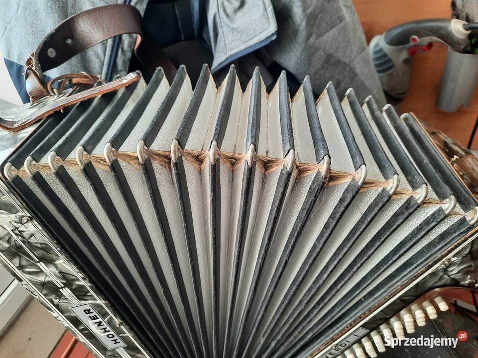 Akordeony Konin