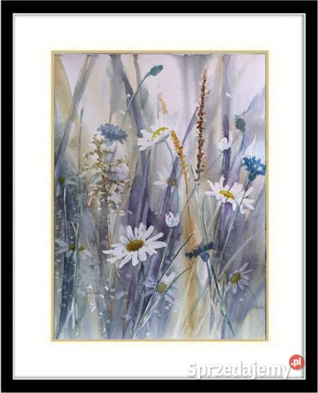 AkwareleŁąka Dyptyk 30X20 x2L Olbrycht