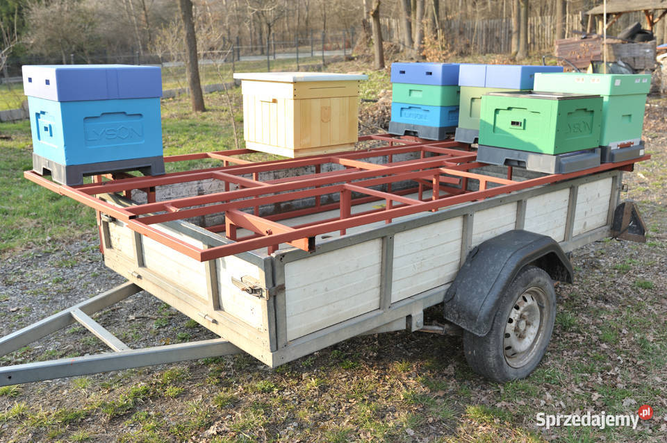 Zabudowa przyczepki platformą do przewozu uli