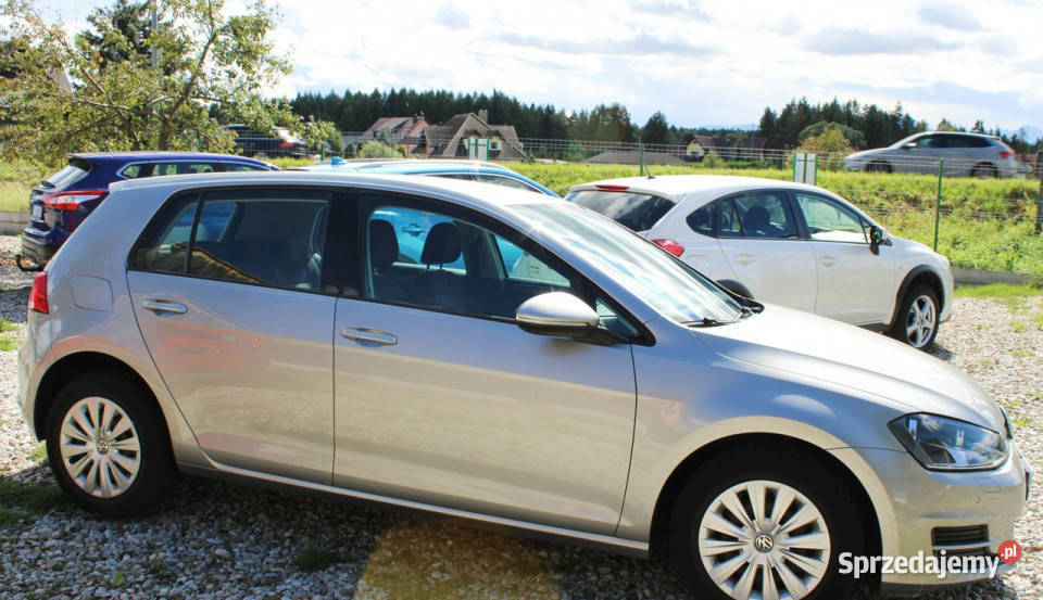 Volkswagen Golf 12 Bluemotion VII 2012 Harklowa