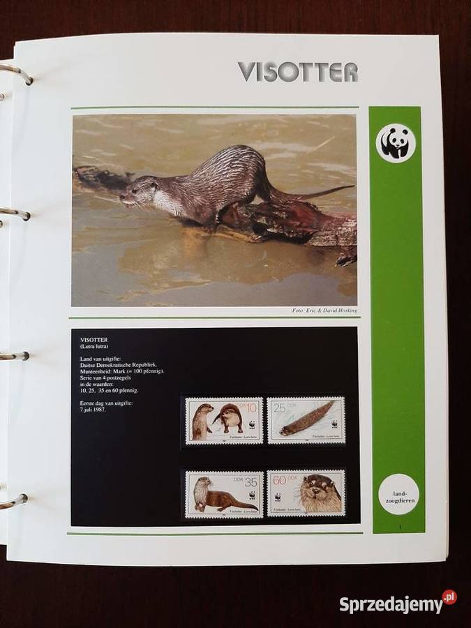 World WWF Kolekcja w specjalnych albumach