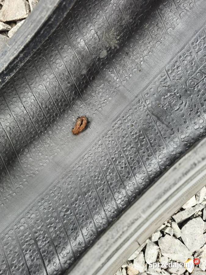 Opony całoroczne Goodyear 22565 r17 65 Siedliska sprzedam