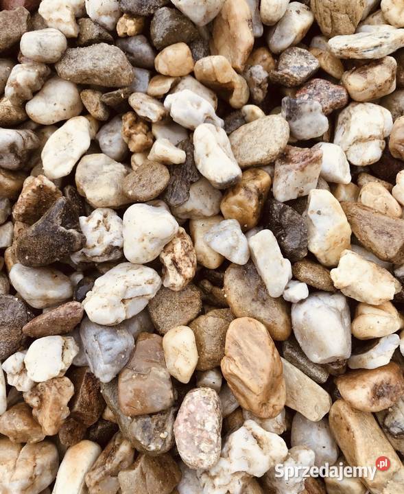 ŻWIR MIODOWY OTOCZAK BURSZTYNOWY Żółty Kamień Warszawa