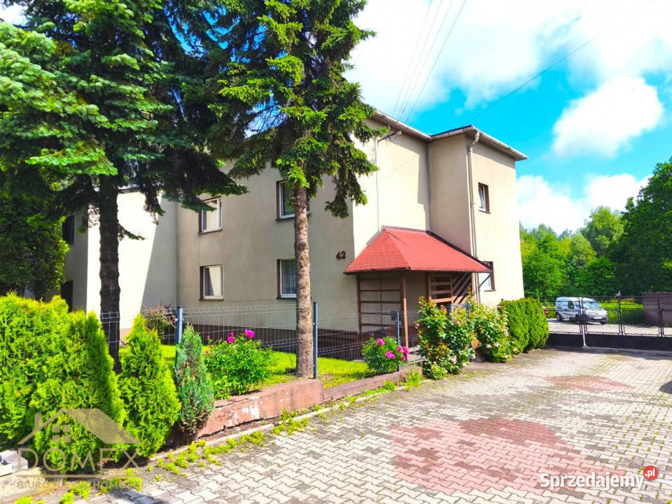 Dom wolnostojący 440m Pszów Sprzedaż śląskie