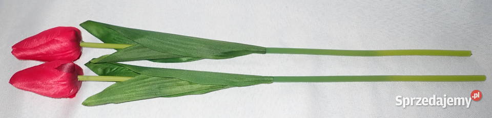 Tulipan sztuczny realistyczny do bukietów 49 Siewierz