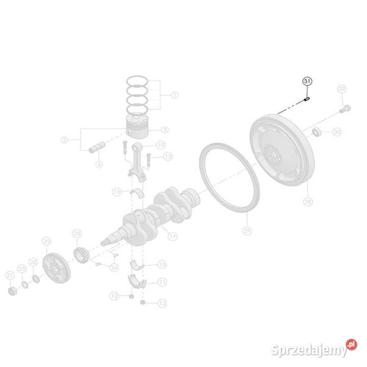 Kołek ustalający 30 x 6 mm Startrac 263 11504969 Tajęcina