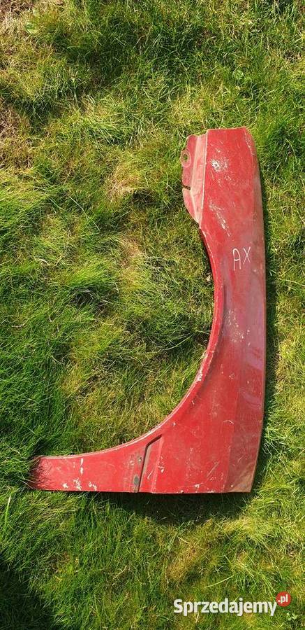 citroen ax blotnik rocznik 87 orginalny wielkopolskie Leszno