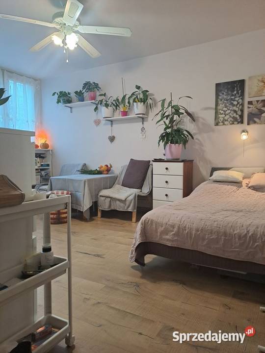 ładna kawalerka remoncie na Dąbrowie Łódź