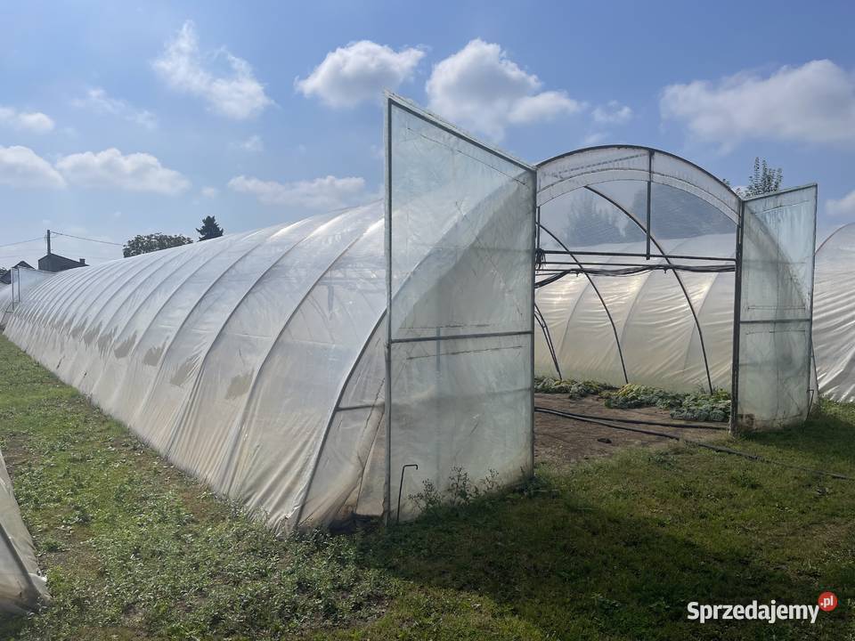 Tunel foliowy WZMACNIANY wymiary 30m x 76m x 3m małopolskie Igołomia