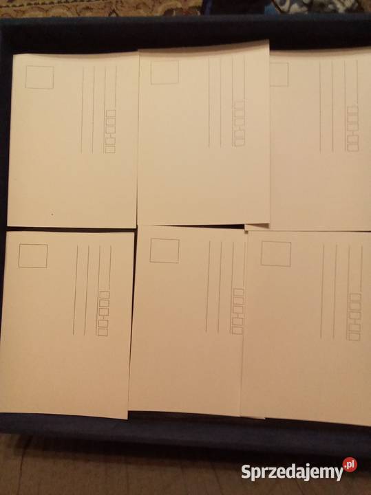 Duże i małe pieski z kotkami kartki pocztowe Warszawa