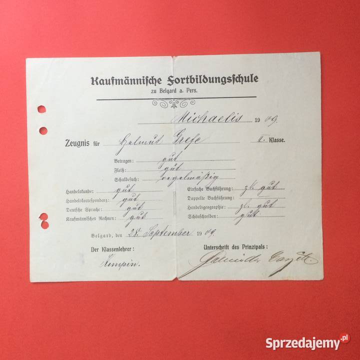 1814 NiemŚwiadectwo Komercyjnej Szk Białogard zachodniopomorskie