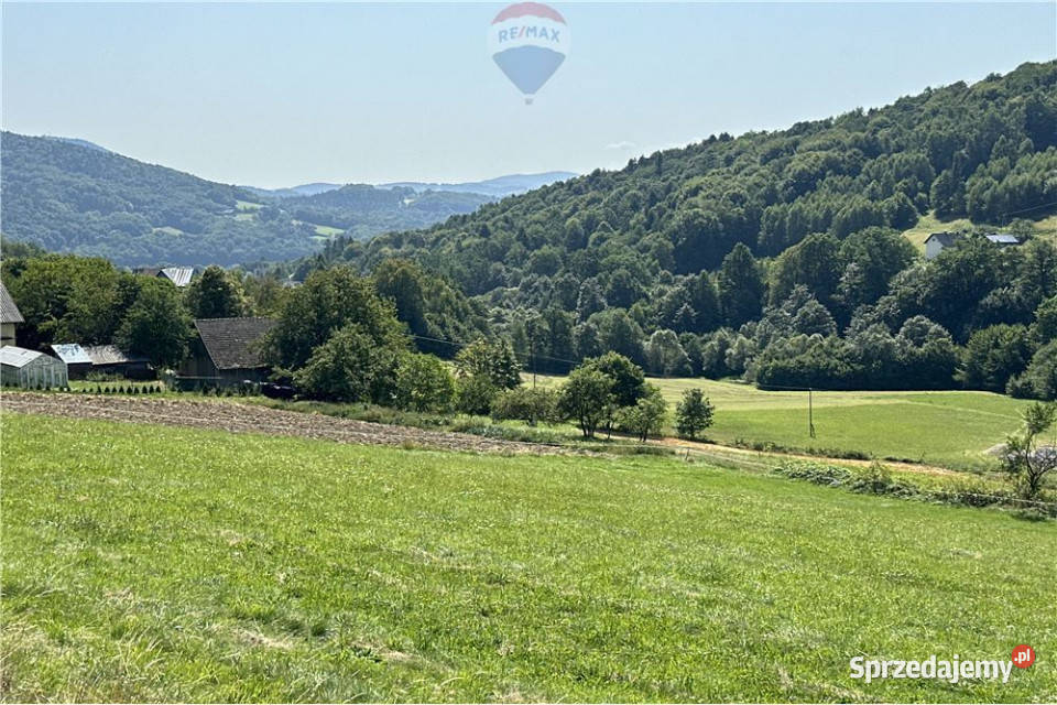 Grunty 5 400 m widok las i działka z WZ Sprzedaż sprzedam