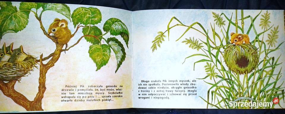 Myszka Pik Bajka filmowa ZSRR wyd 1982 Chełm