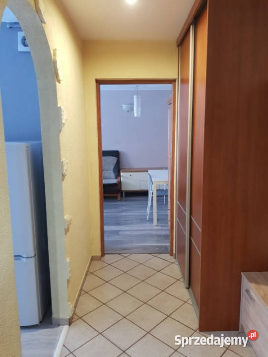 sprzedam mieszkanie Poręba kZawiercia parter Liczba pokoi 2 śląskie sprzedam