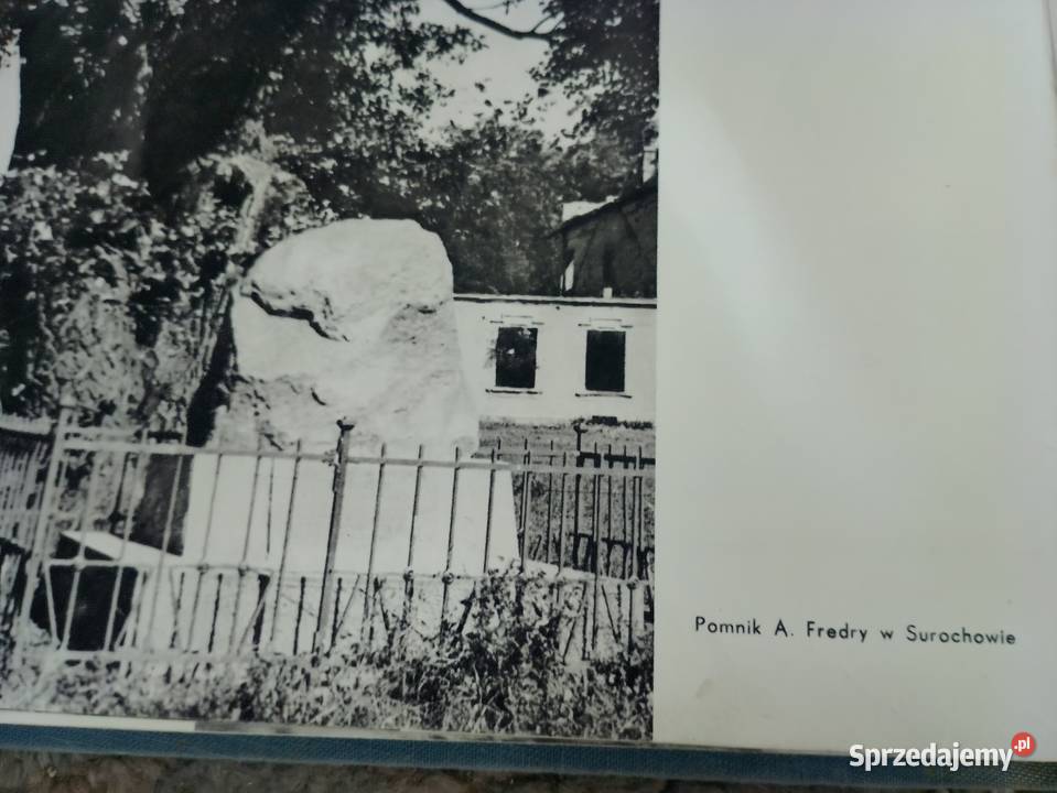 Surochow szkoła podstawowa tablica emaliowana