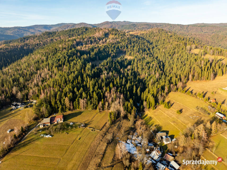 Grunt Harklowa małopolskie sprzedam