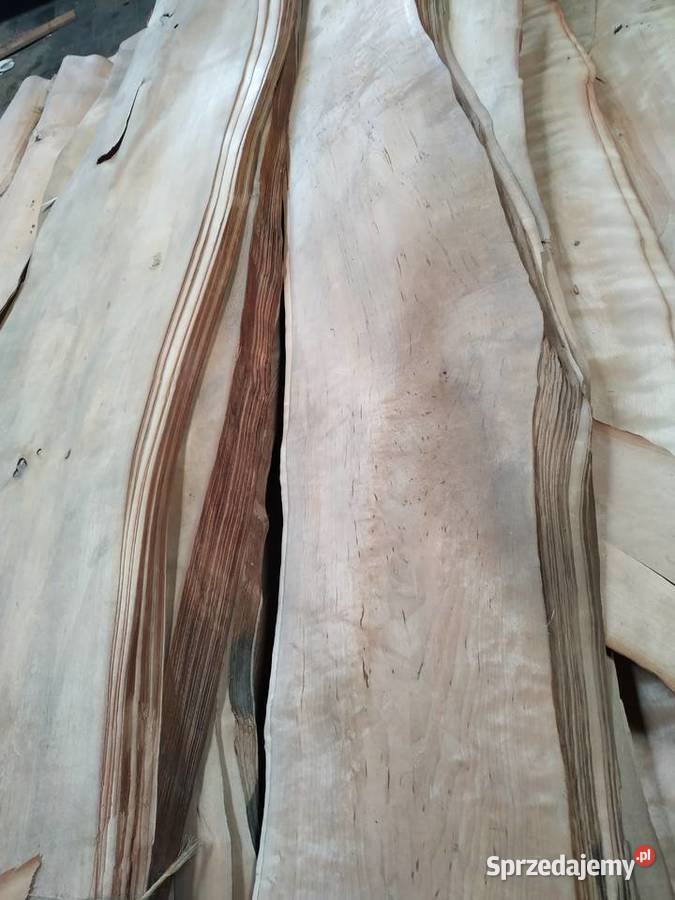 Fornir okleina naturalna olcha Brzeźno