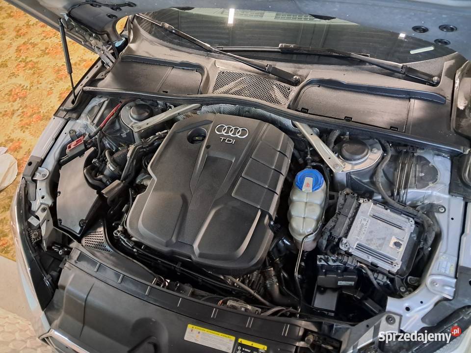 Audi a5 sportback 2017r Hatchback Jasło