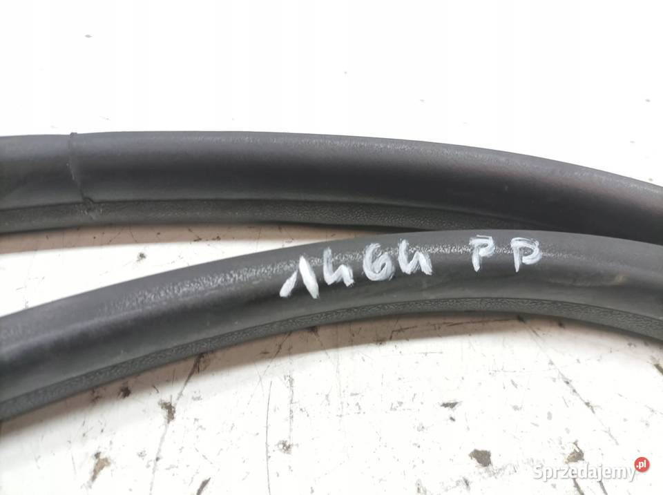 USZCZELKA DRZWI PRAWY PRZÓD PASAŻERA 5D Renault