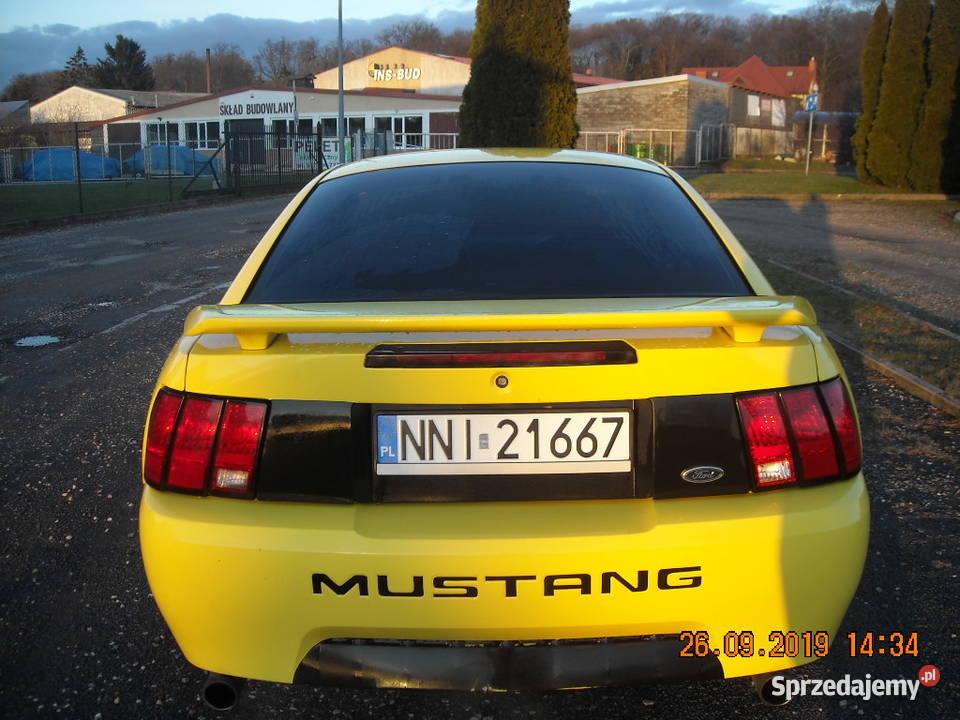 sprzedam mustang sn95 skórzana tapicerka Samochody osobowe Nidzica