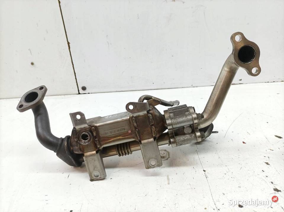 CHŁODNICA SPALIN 256800R02000 20 D4D Toyota sprzedam