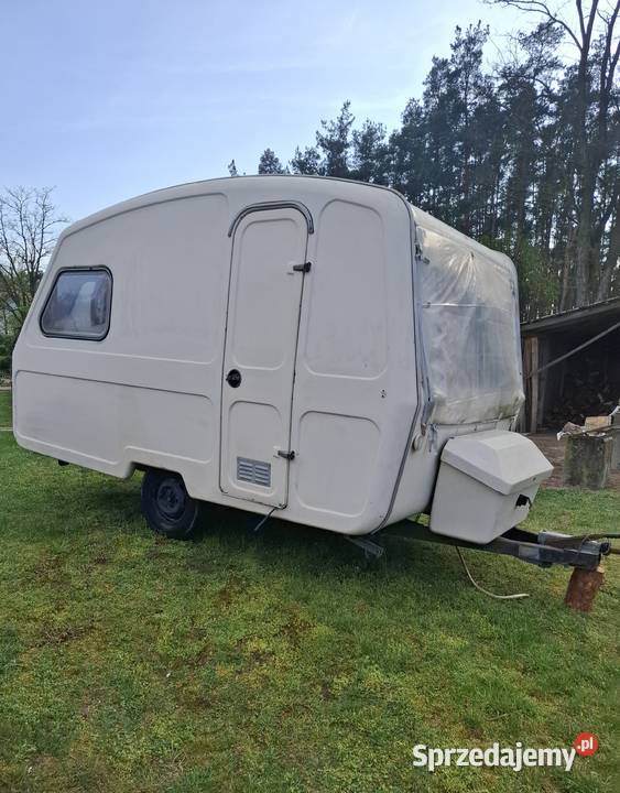 Niewiadów n132 Wieloryb Płońsk