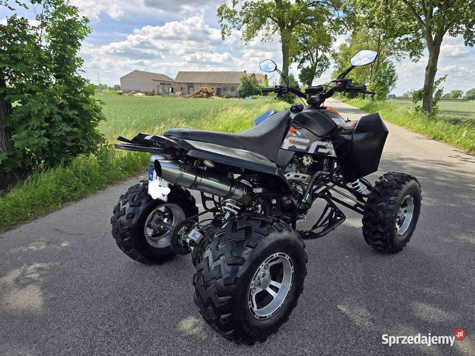 Quad Mad 250cc Ciecz Duża Rama Alufelgi Pozostałe