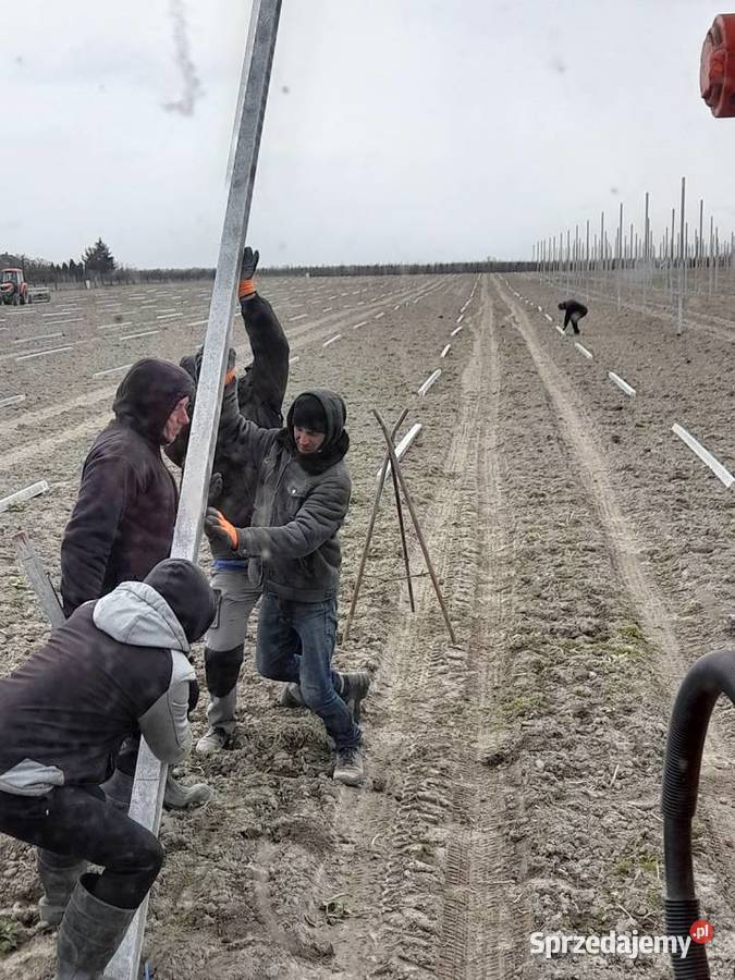 Nawodnienie drenarska wykopy lińowe łańcuchówką mazowieckie Widok
