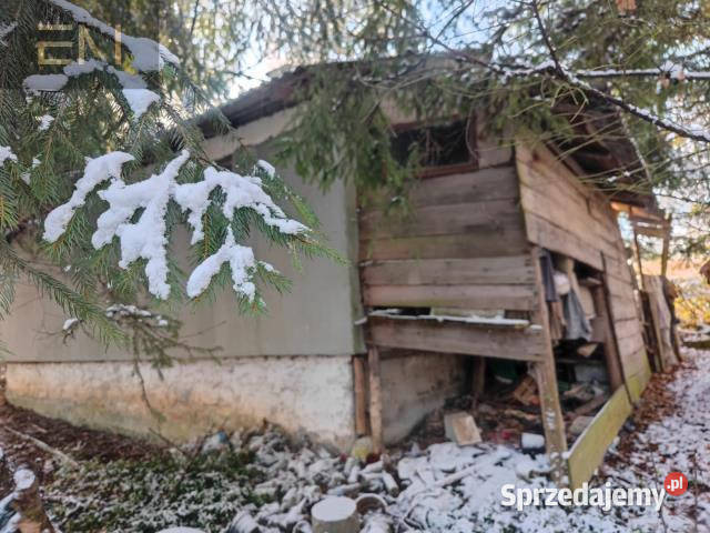 sprzedaży gruntu 6000m2 Babica