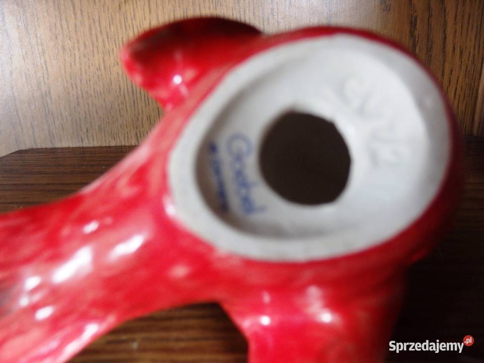 Ptaszek Goebel małopolskie Rabka-Zdrój