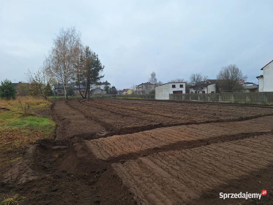 Wycinka drzew Czyszczenie działek Mulczowanie Bielsko-Biała