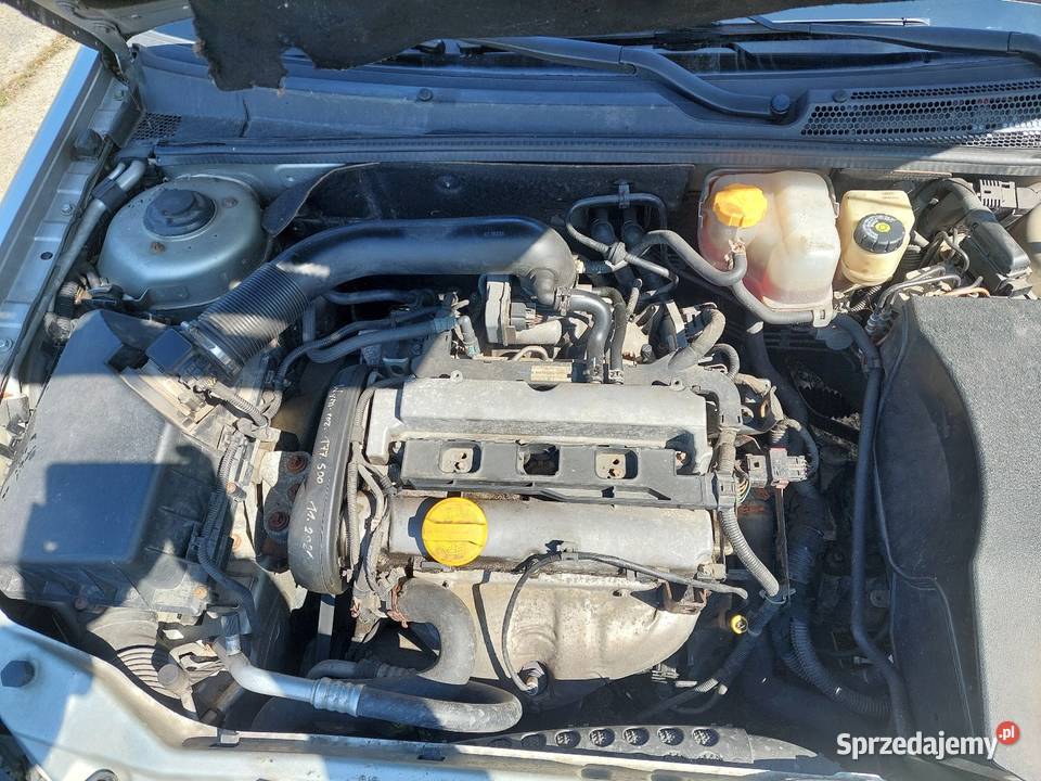 Opel Signum 18 16V Klima Zadbany Oszczędny
