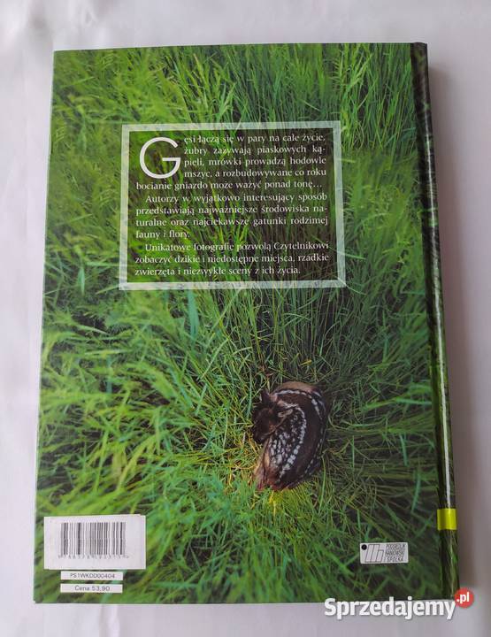 Przyroda polska Knaflewska Siemionowicz podlaskie Hajnówka