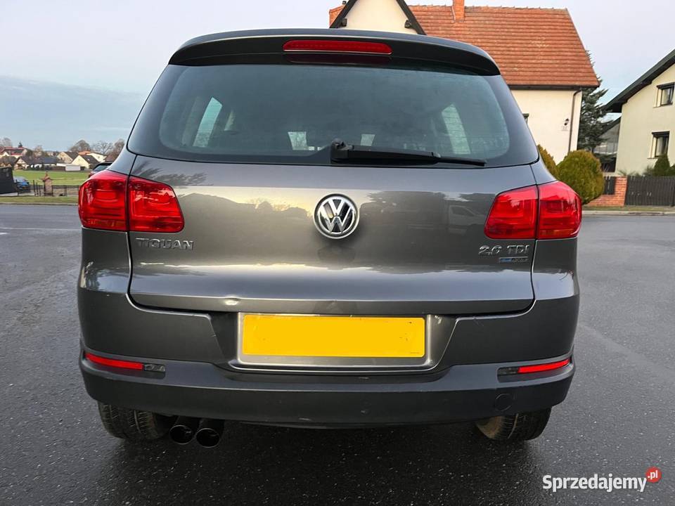 VW Tiguan ANGLIK wielkopolskie Mroczeń