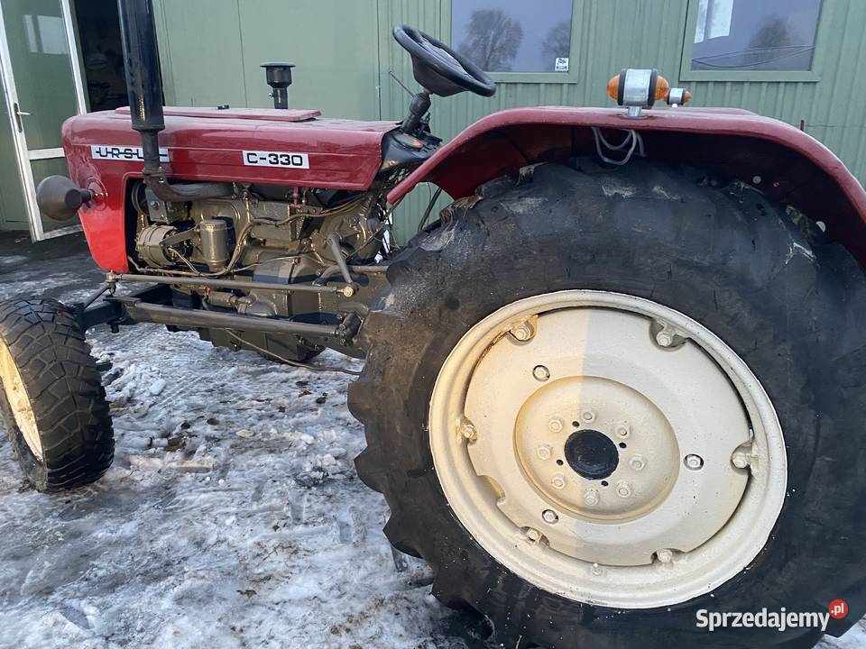 Ursus kujawsko-pomorskie Rypin