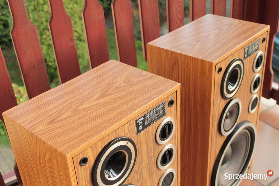 Kolumny Altus 75 klasyka stan oryginalne kujawsko-pomorskie Toruń sprzedam