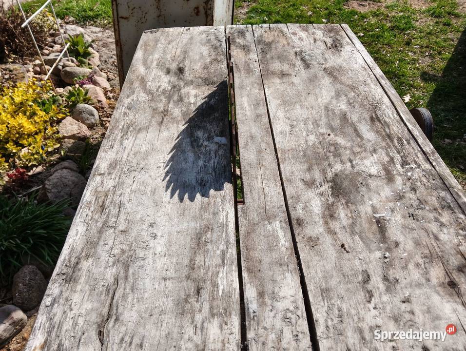 Trajzega cyrkulatka piła Zagajnik