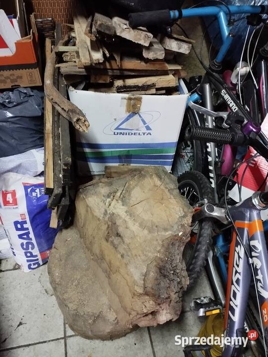 drzewo drewno pieńki na ognisko opał mega