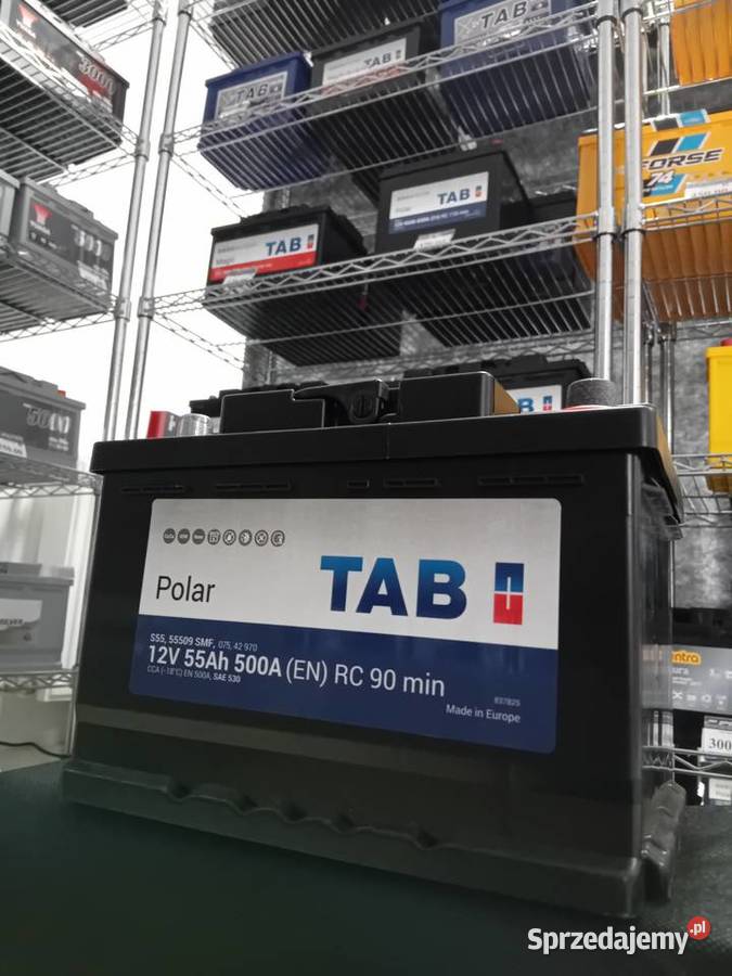 TAB POLAR 55Ah 500A osobowe Akumulatory Akumulatory Rzeszów