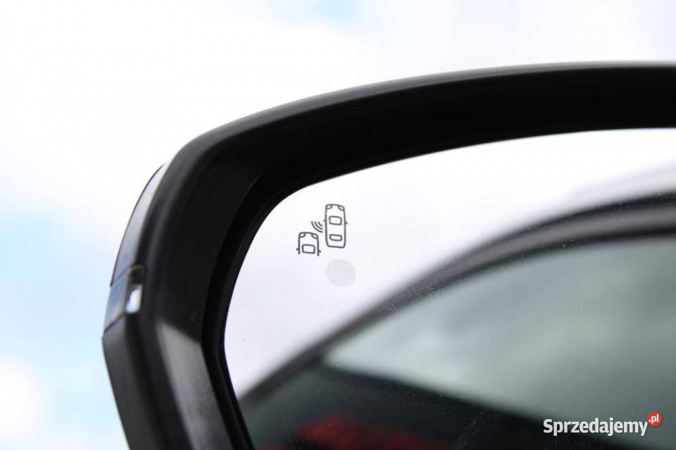 Peugeot 3008 2020r Kam Cofania Ambiente Martwe 1997cm3