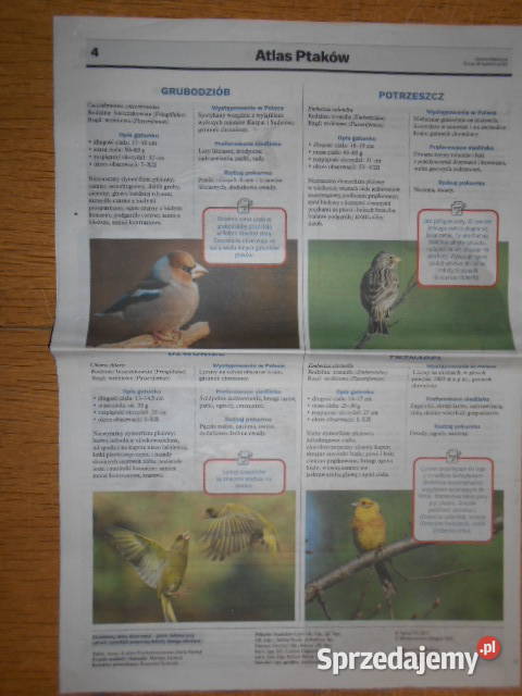 Wiosenny Atlas Ptaków cz III Gazeta Wyborcza Parczew