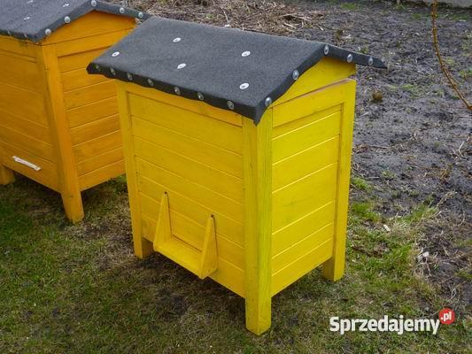 ULE warszawskie i ULE ozdobne Stanisławów