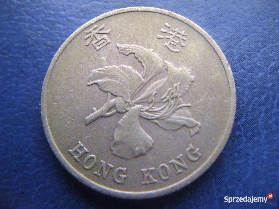 Stare monety 1 dolar 1995 Hong Kong Lesko sprzedam
