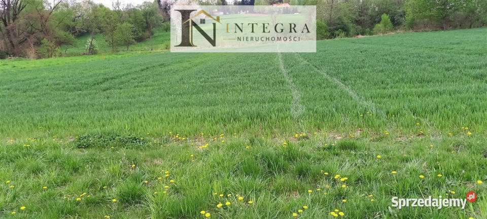 Działka na sprzedaż Błędowa Tyczyńska