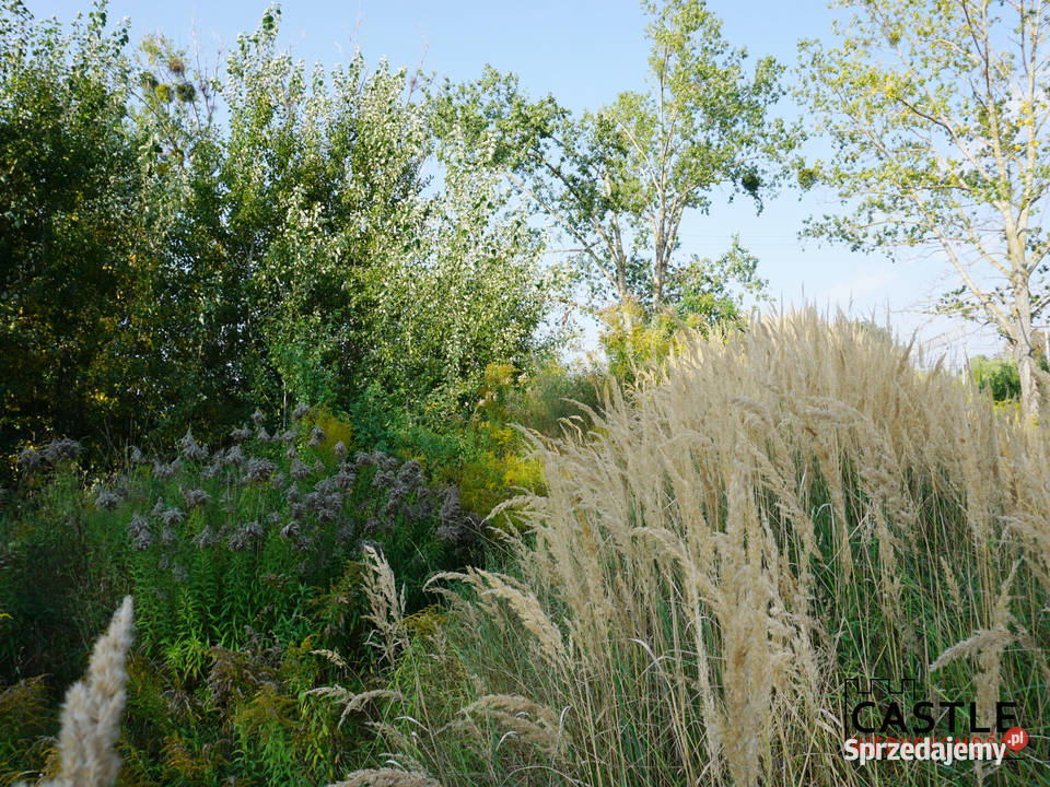 działka z projektem hali I PKP I inwestycja Pruszcz Gdański