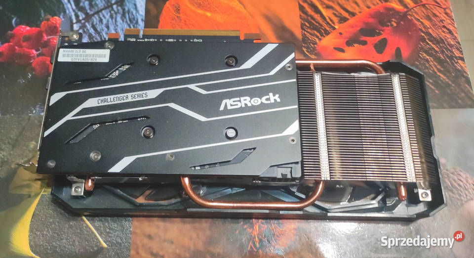 Karta graficzna Radeon ASRock RX 6600 8GB 8GB Karty graficzne