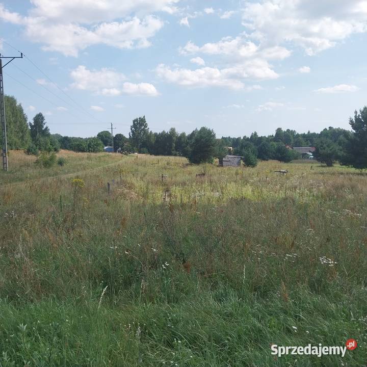 Działka siedliskowa 2900m2 2900m2 śląskie sprzedam