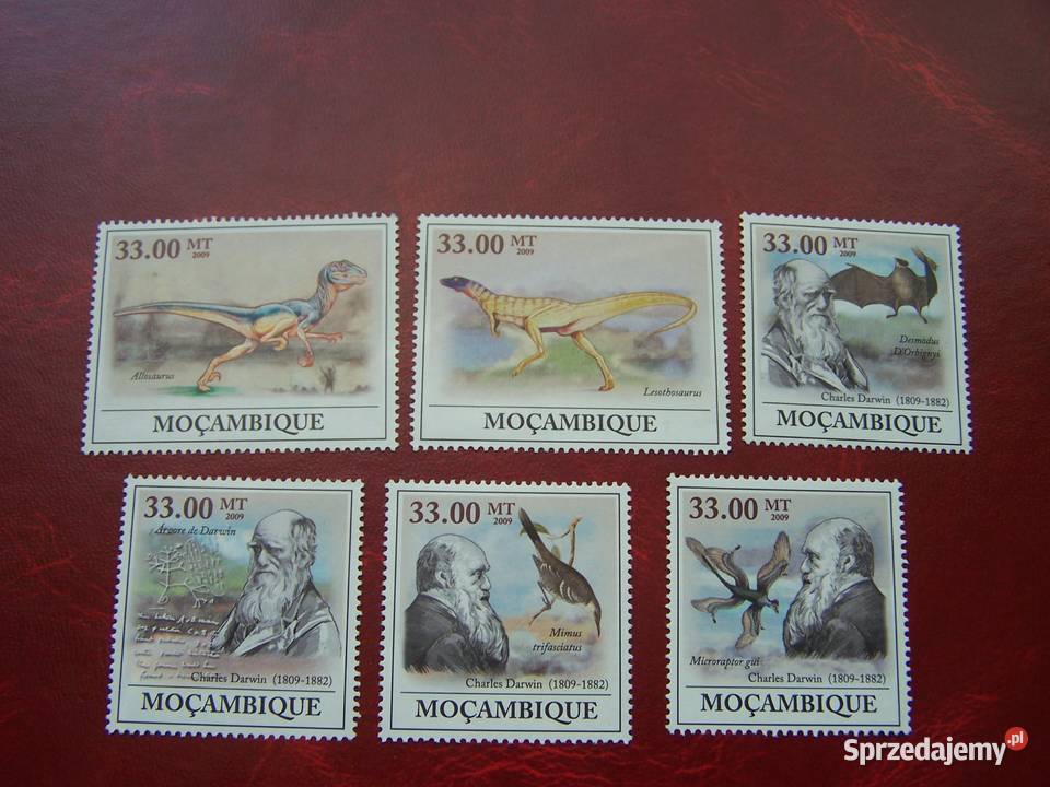 Mozambik 2009 MNH Karol Darwin Dinozaury Tychy