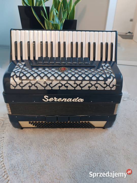 Akordeon serenada 120 basów Dębica sprzedam