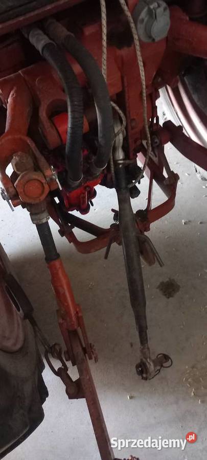 Wladymirec t25 oryginał igielka Belarus Jangrot